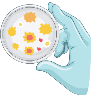 Microbiologia