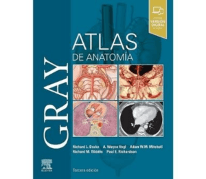 ATLAS DE ANATOMIA GRAY - DRAKE