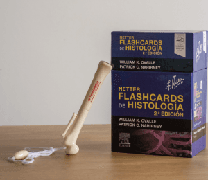 FLASHCARDS DE HISTOLOGÍA - NETTER