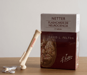NETTER - FLASHCARDS DE NEUROCIENCIA