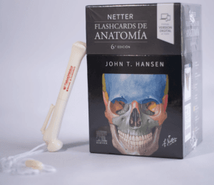 NETTER FLASHCARDS DE ANATOMIA EDICION 6